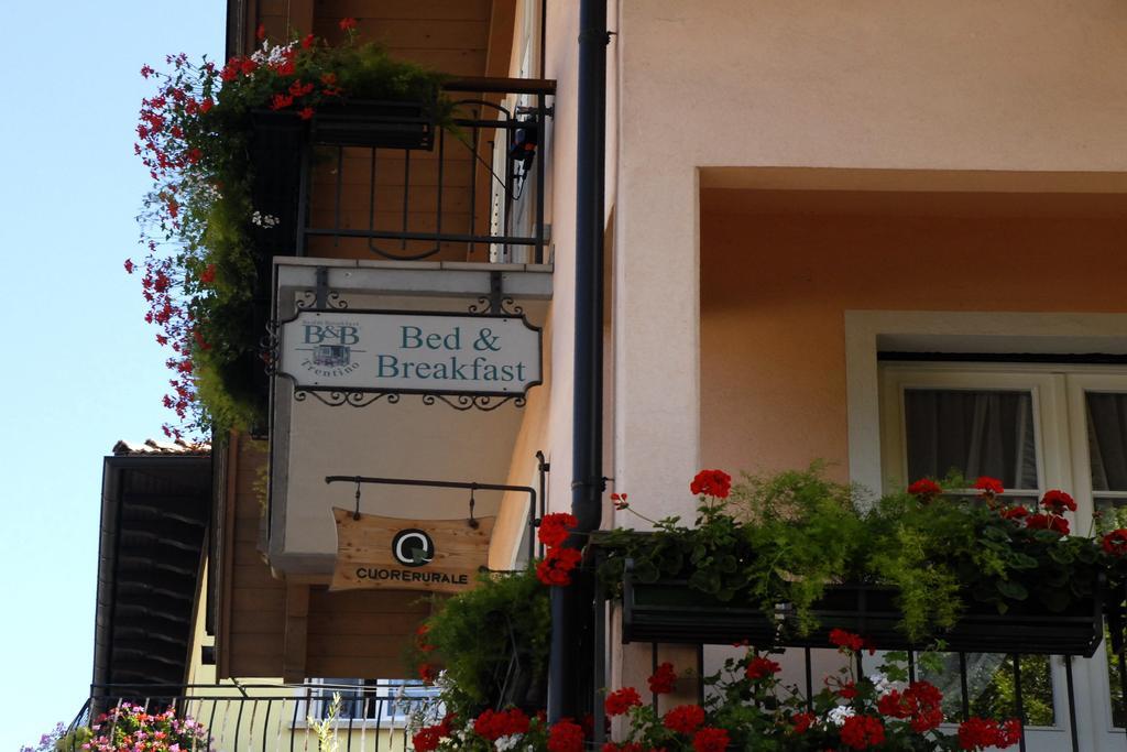 B&B Casa Riz Castello-Molina di Fiemme Zewnętrze zdjęcie