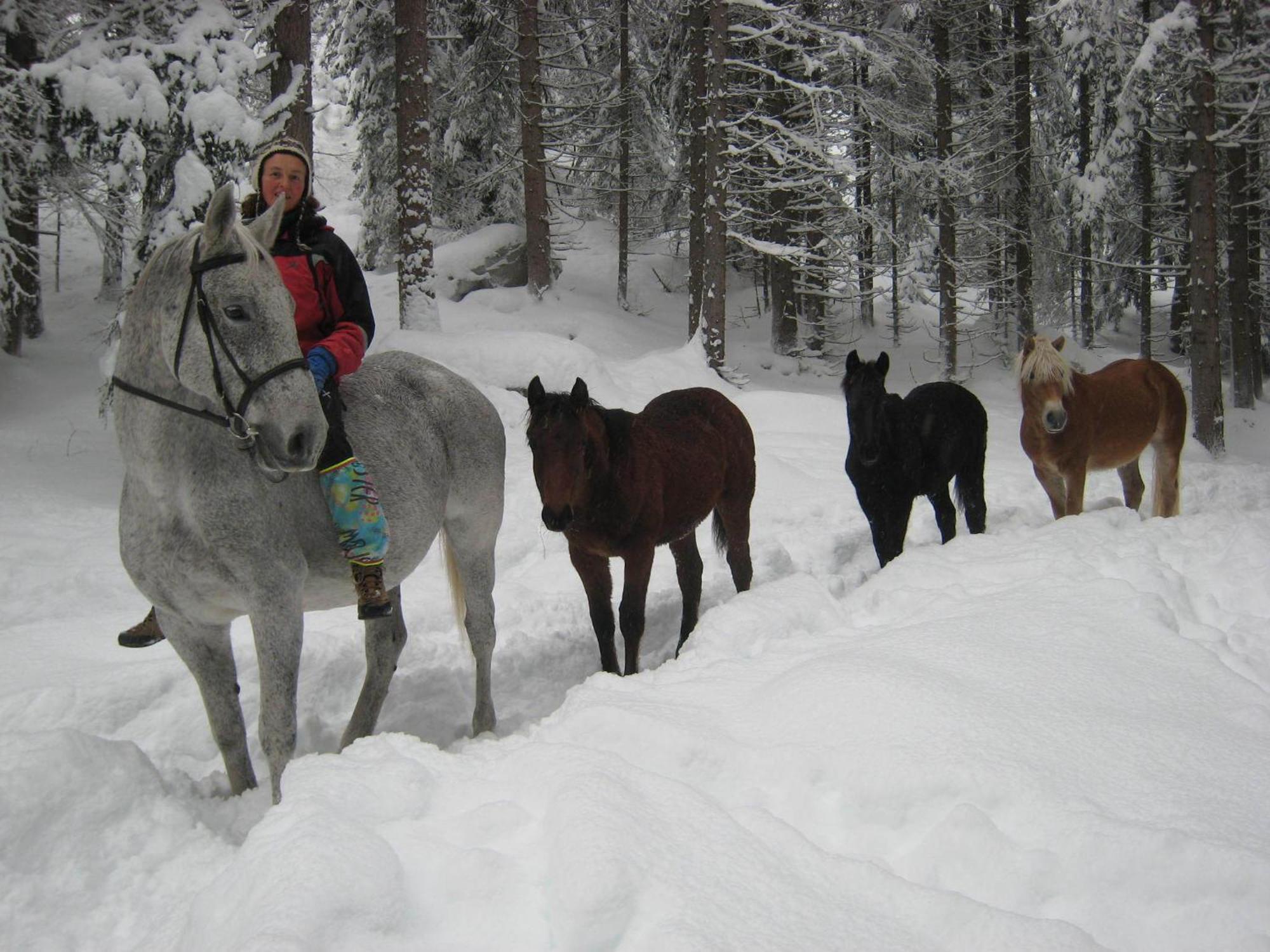 B&B Casa Riz Castello-Molina di Fiemme Zewnętrze zdjęcie